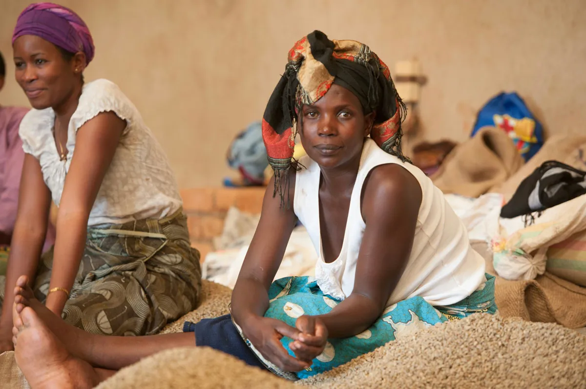 Rwanda's Coffee Comeback: Quality, Resilience, and the Road Ahead