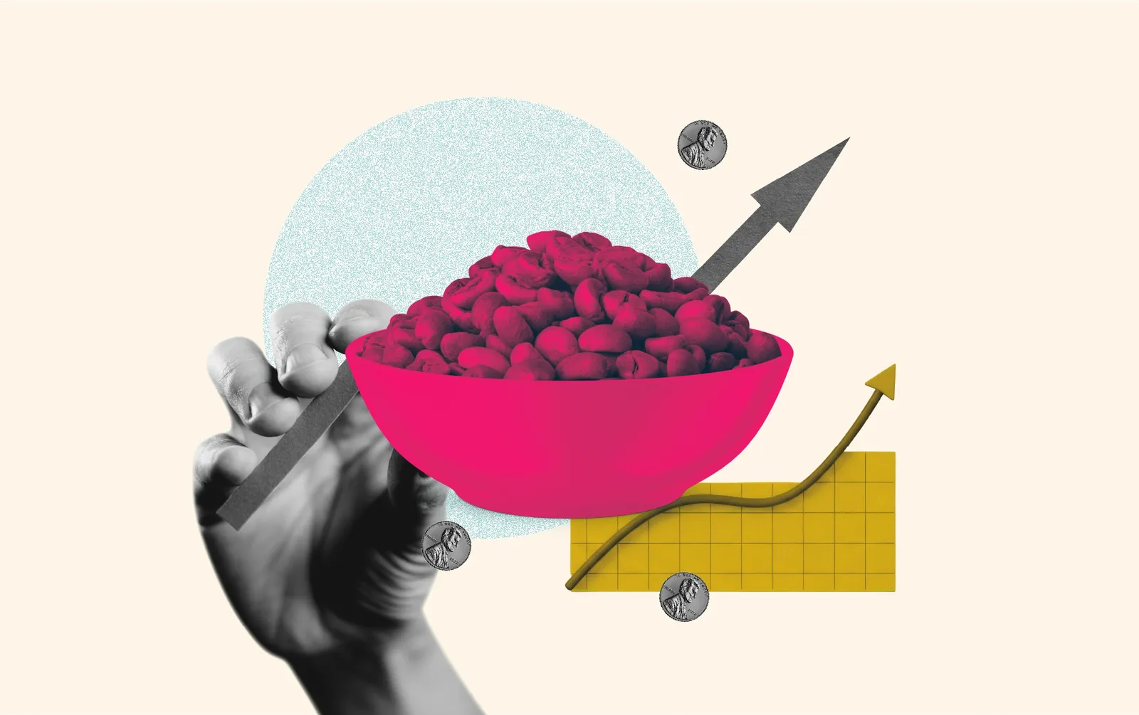 We Asked 13 Roasters How They’re Navigating Green Coffee Costs. Here’s What They Said.