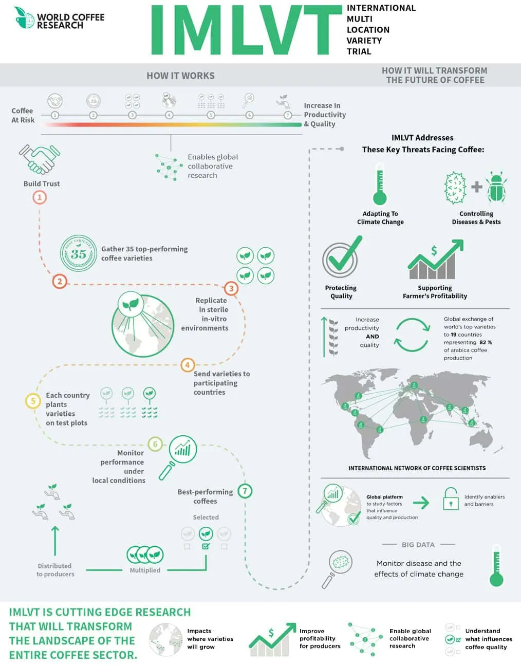 coffee, specialty coffee, world coffee research, wcr