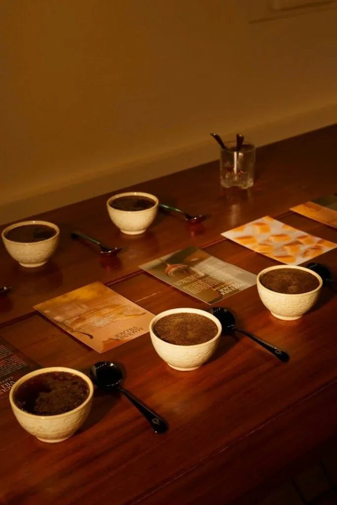 Robusta coffees at a coffee tasting event.
