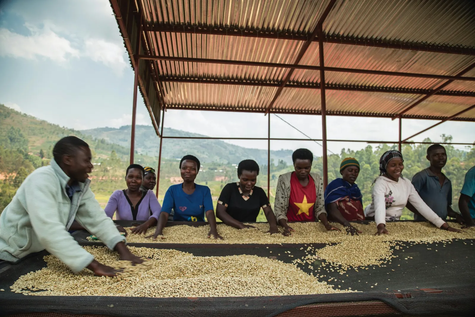 Raised drying beds at Hingakawa Co-Op in Rwanda.