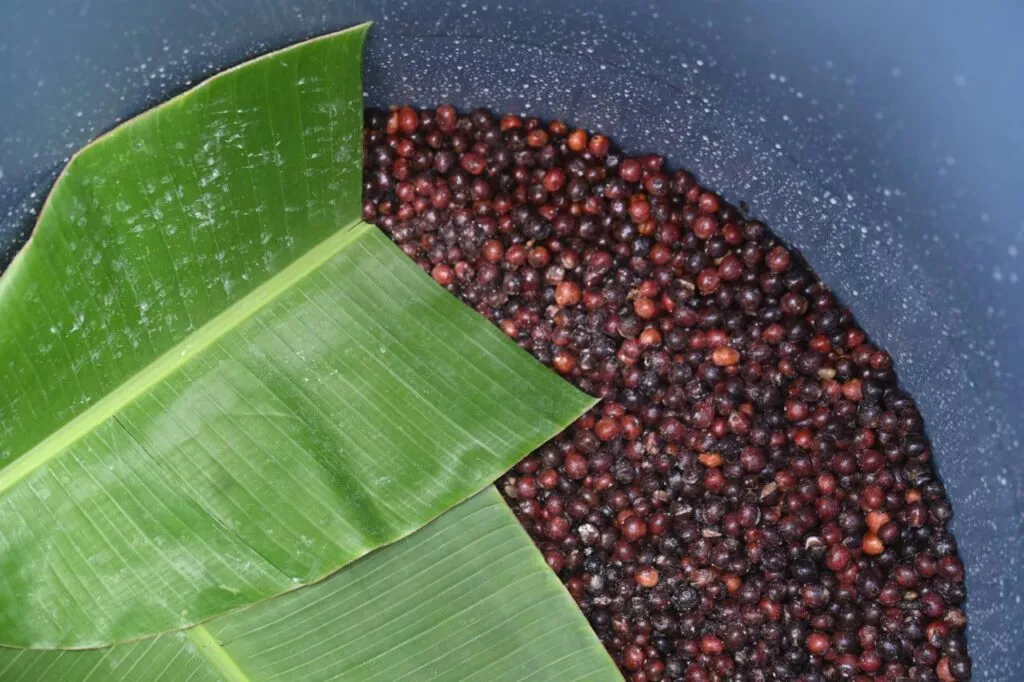 Robusta processing at St. Margaret Estate.