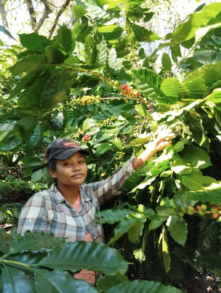 Behind the Cup: The Daily Lives of Women Coffee Pickers in Nicaragua